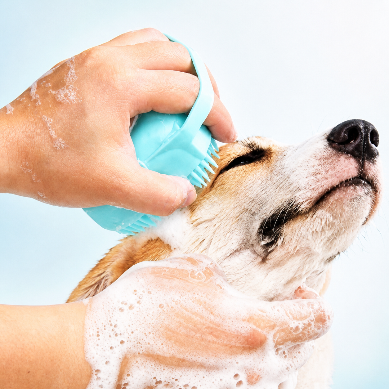 pet relaxado no banho